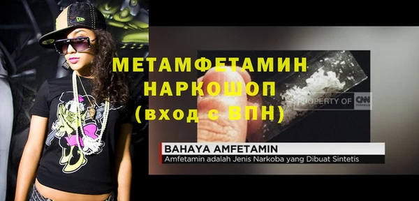 дживик Няндома