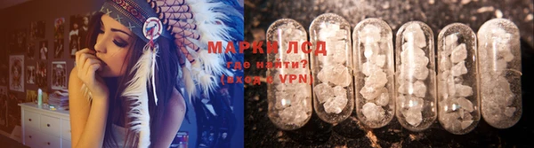 дживик Няндома