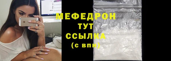 дживик Няндома