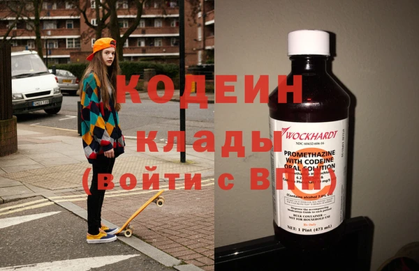 дживик Няндома