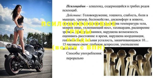 apvp Нягань